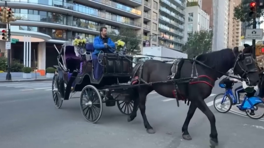 В Нью-Йорке запретят конные экипажи