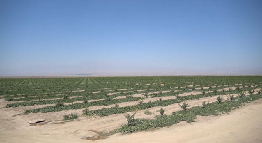 Орталық Азияда климаттың өзгеру қаупі жоғары