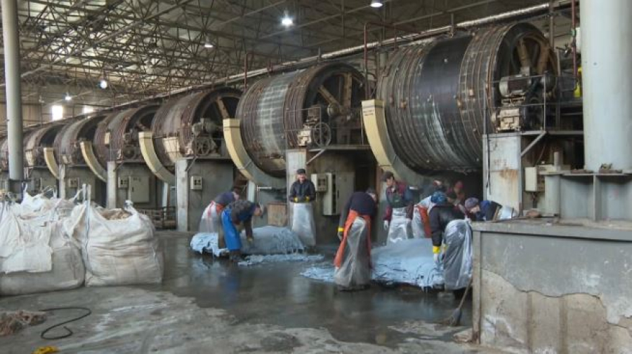 Строительство нового мясокомбината начали в области Абай