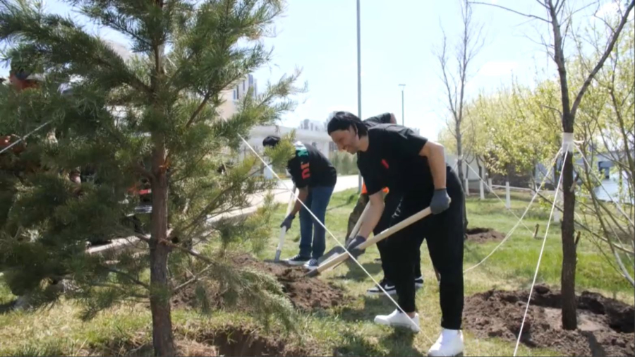 Әлемдік футбол жұлдыздары Астанада ағаш отырғызды
