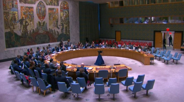 Совбез ООН принял резолюцию о прекращении боевых в Конго