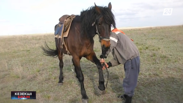 Алматы облысында барымташылар қолға түсті | Кезекші бөлім