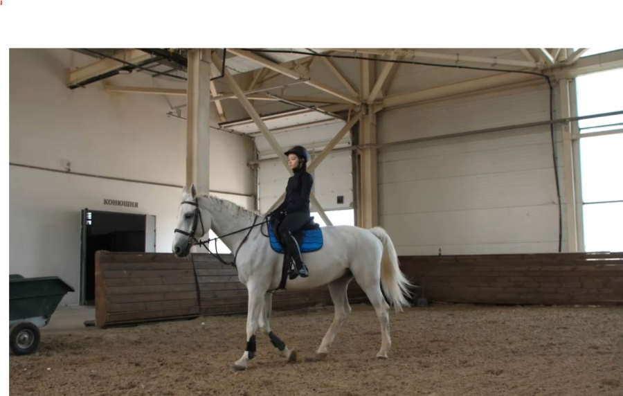 Елордалық конкуршылар Челябідегі жарыста ел мерейін аспандатты