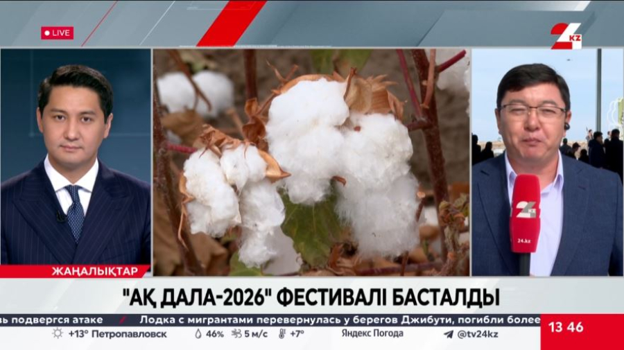 Түркістан облысында «Ақ дала-2026» мақта фестивалі басталды