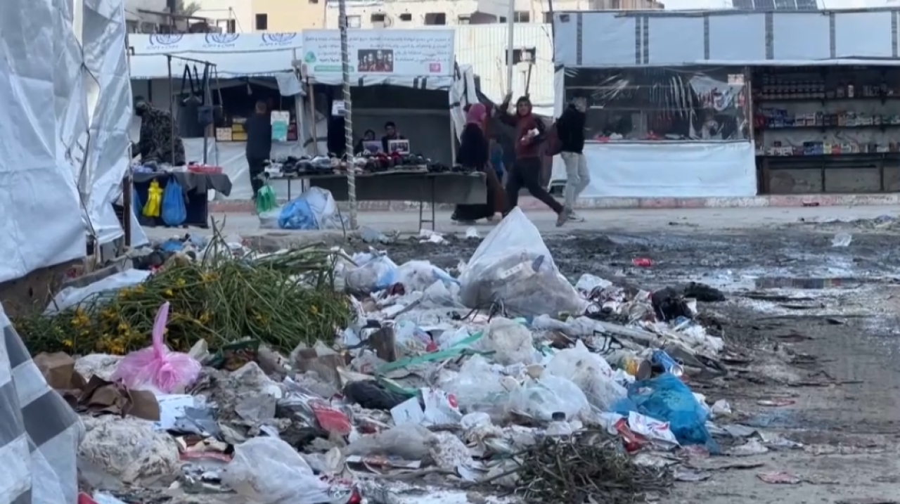 Сектор Газа столкнулся с нашествием грызунов