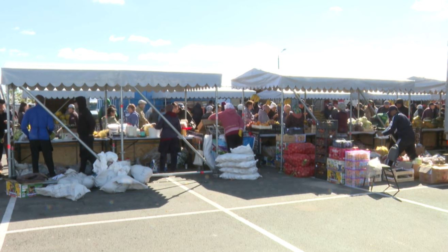 Астанада Сыр өңірі өнімдерінің жәрмеңкесі өтіп жатыр