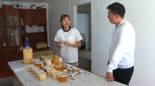 Кызылординские пчеловоды будут выпускать мёд на экспорт