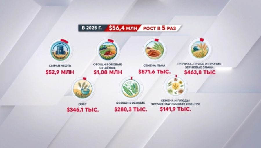 Экспорт из Казахстана в Пакистан вырос в 5 раз