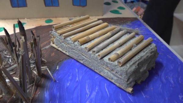 Строить дома из камышита по забытой технологии предлагает атырауская школьница