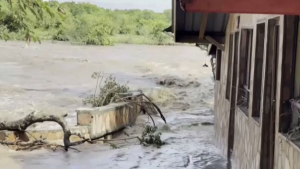 Десятки туристов спасли от наводнений в Кении