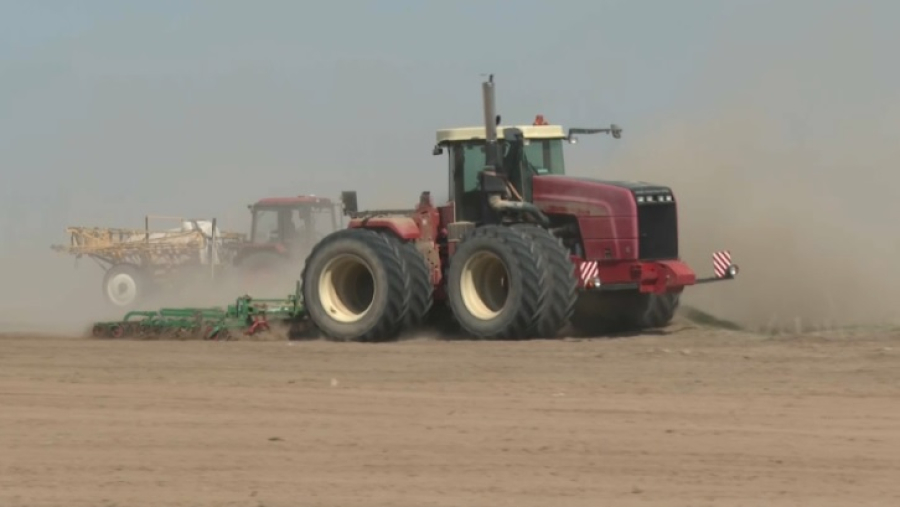 Посевная страда развернулась во всех районах Жетысу