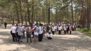 Больше 14 тыс. школьников отдохнут в детских лагерях Акмолинской области