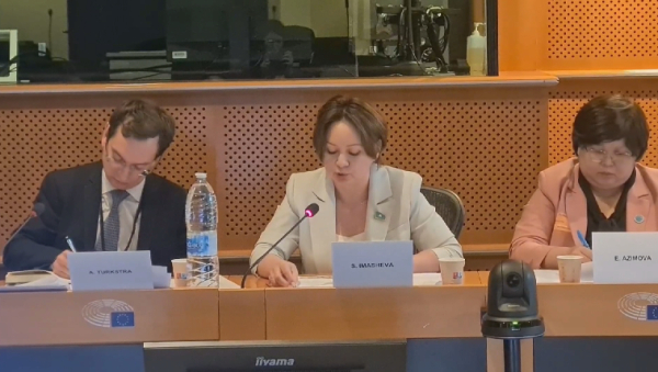 В Брюсселе обсудили ход реформ в Казахстане