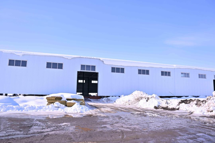 Завод по переработке масличных культур построят в Урджарском районе