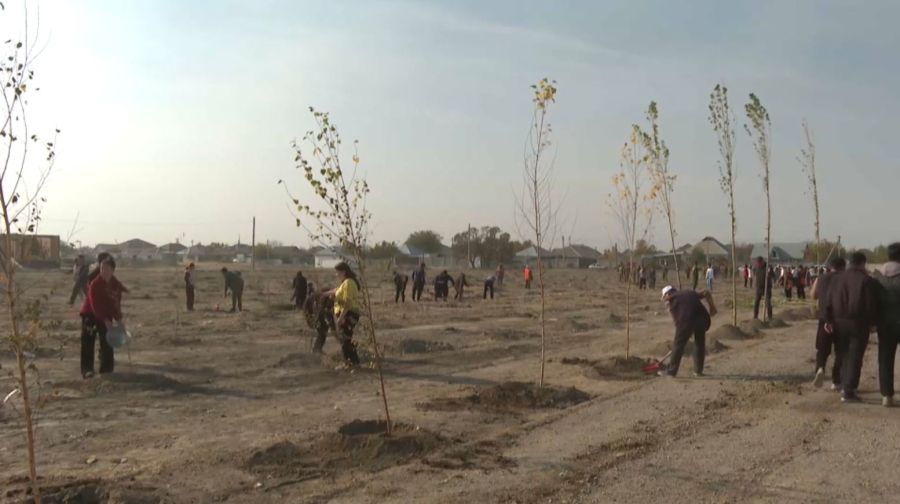 Жамбыл облысында жол жиегі қоқыстан тазартылды