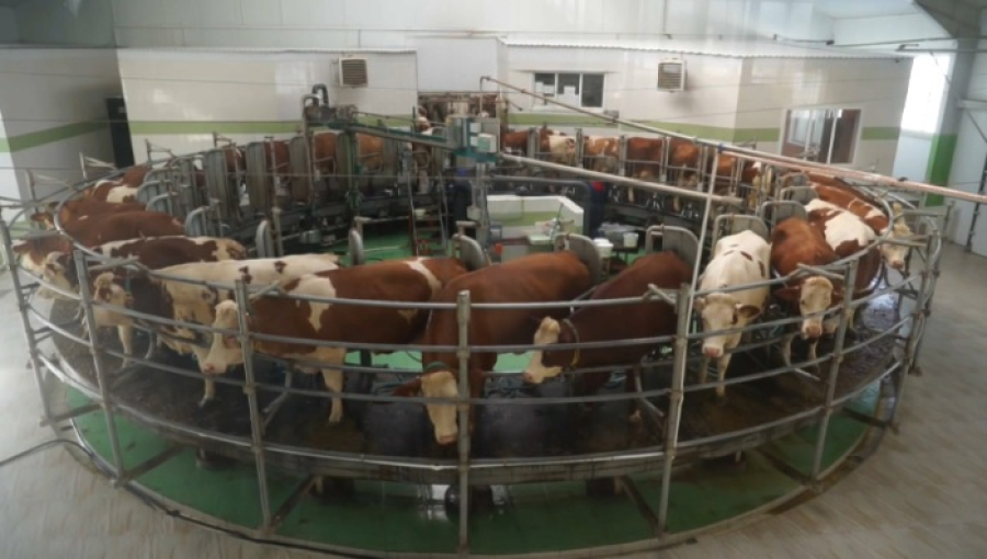 Послание-2025: рост АПК и инвестиций в СКО