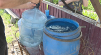 Жителей Кокшетау не устраивает качество питьевой воды