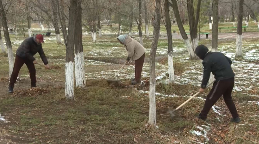 Үкіметте экомәдениет қалыптастыру мәселесі қаралды