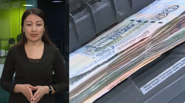 Ресейде парақорлардың саны рекордтық көрсеткішке жетті