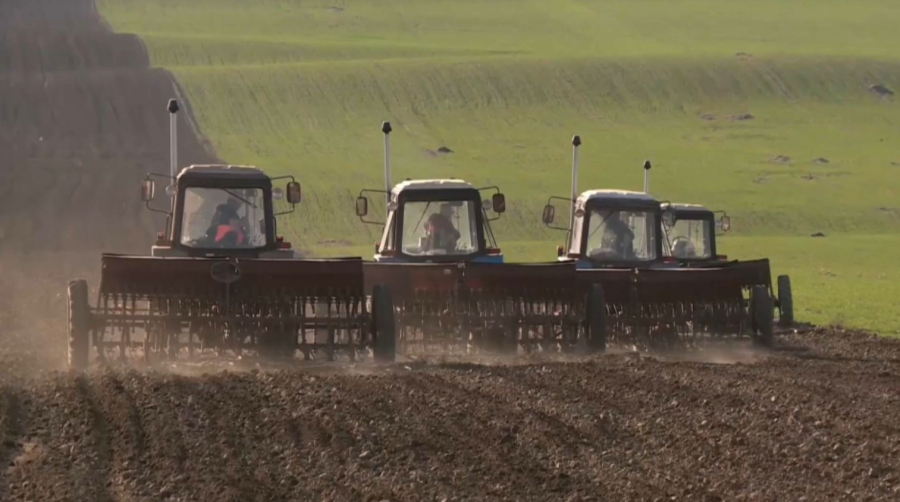 Шымкентте егістік жерлер көлемі екі мың гектарға азайды