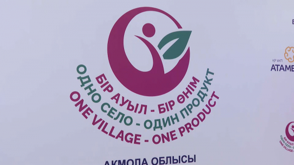 «Одно село – один продукт»: почти 50 сельчан открыли своё дело в Акмолинской области