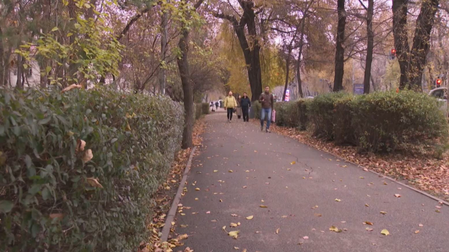 Алматыда ТЖД басшысының үш орынбасары қылмыстық жауапқа тартылды