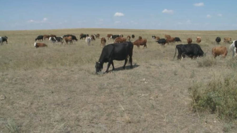 Серик Жумангарин встретился с аграриями Акмолинской области