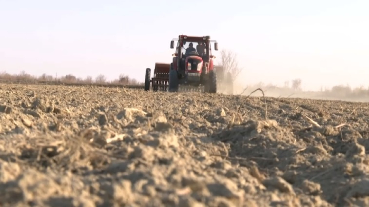 438 тысяч га планируют засеять в Алматинской области
