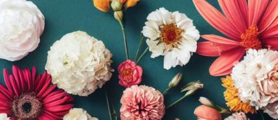 Какие страны поставляют цветы в Казахстан