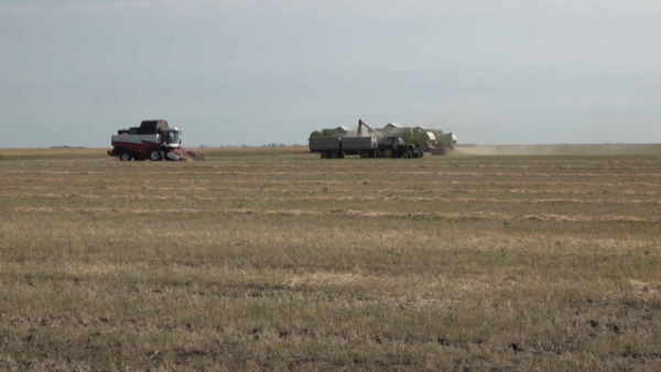 В Костанайской области строят новые МТФ и планируют увеличить площадь орошаемых земель