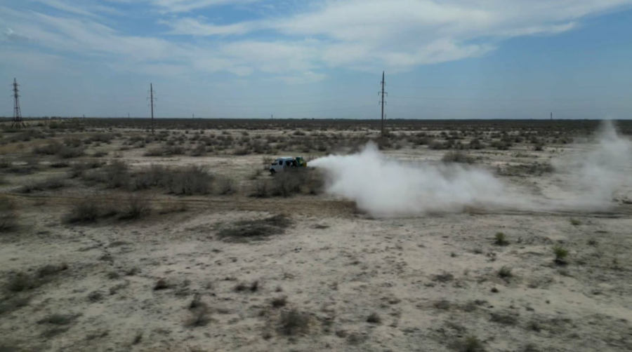 Қызылорда облысындағы 111 ауылда кенеге қарсы күрес жүргізіледі