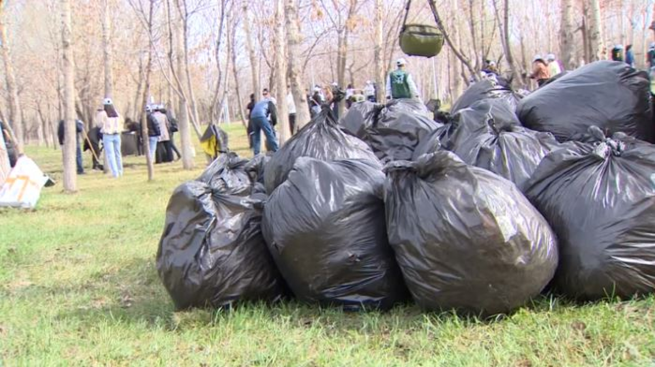 Экопросвещение станет частью национальной идеологии Казахстана