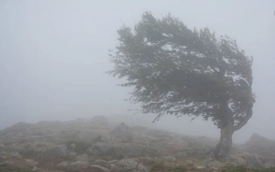 Штормовое предупреждение объявлено в Казахстане