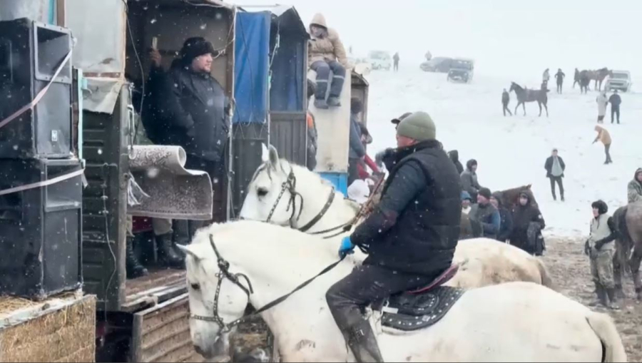 Өзбекстанда көкпарға қызығушылық артты