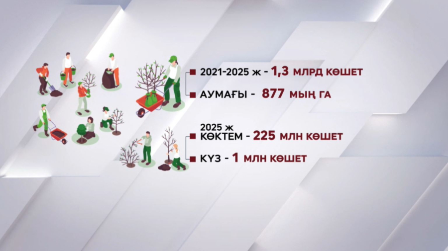 Төрт жылда ел бойынша 1,3 млрд көшет отырғызылды