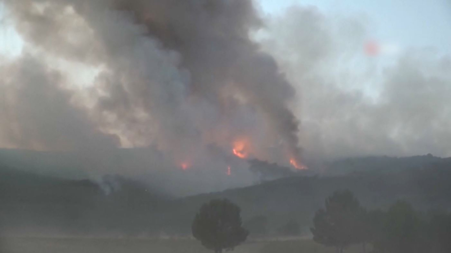 10 пожарных погибли из-за лесного пожара в Турции