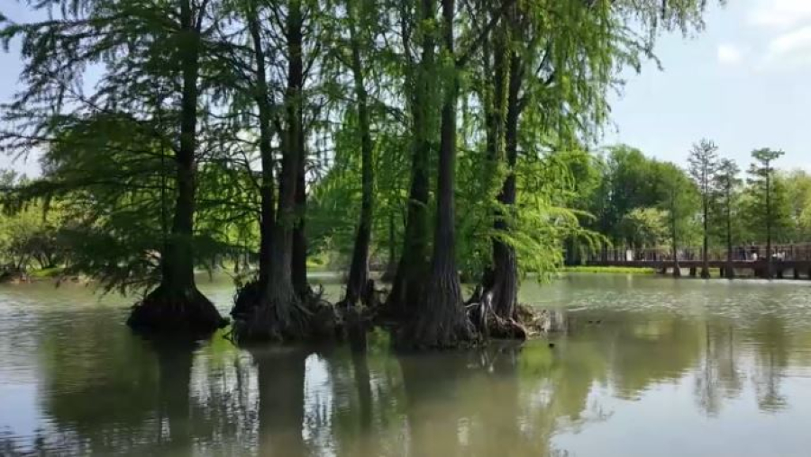 Казахстанские экологи участвуют в масштабных проектах по сохранению биоразнообразия