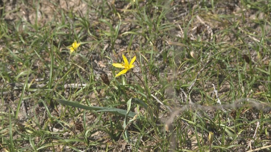 Солтүстікте 33 мың гектар жер мемлекетке қайтарылды