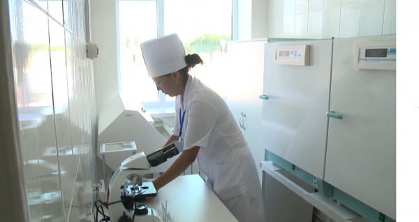 Папиллома вирусына қарсы вакцина алу мен егуге 9,7 млрд теңге бөлінді