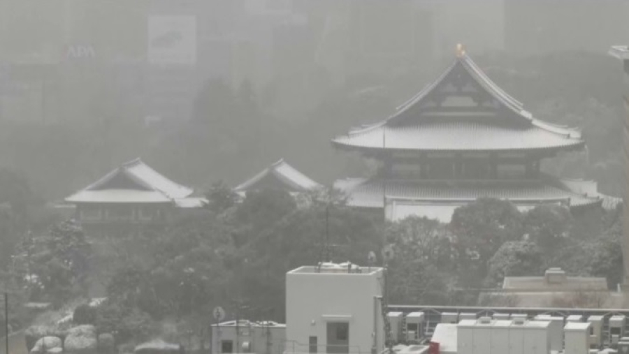 Сильный снегопад парализовал Токио