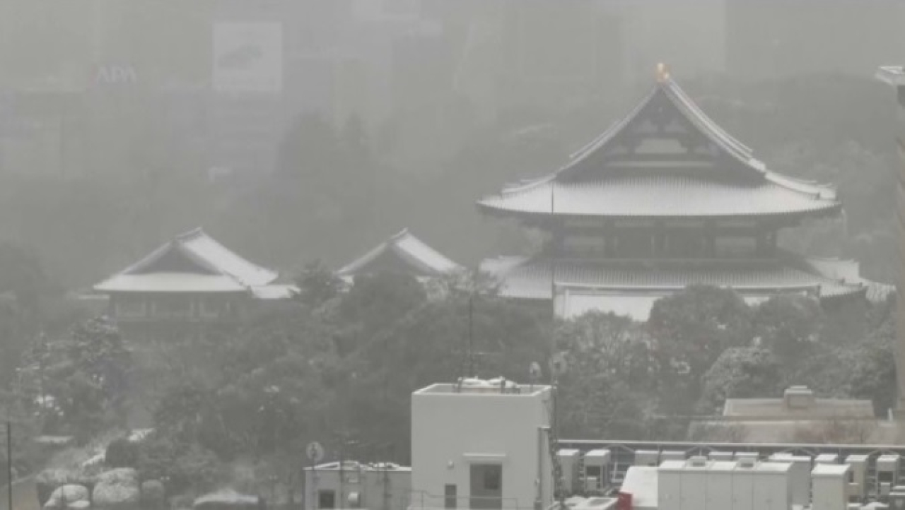 Сильный снегопад парализовал Токио