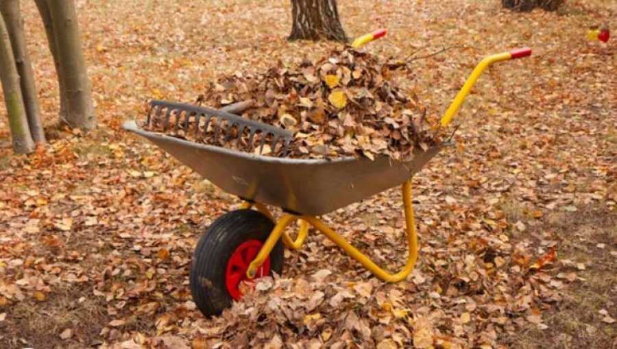 В Алматы прошел локальный субботник в рамках акции «Таза Қазақстан»