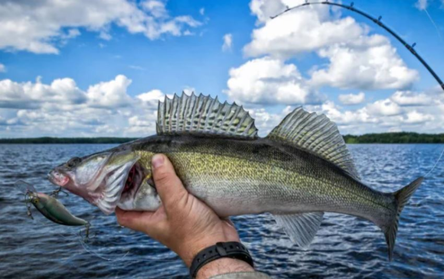 На ₸98 млн оштрафовали казахстанцев за незаконную рыбалку