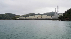 В Японии планируют перезапустить первый ядерный реактор после катастрофы на АЭС «Фукусима»