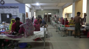 1000 человек превысило количество погибших от лихорадки денге в Бангладеш