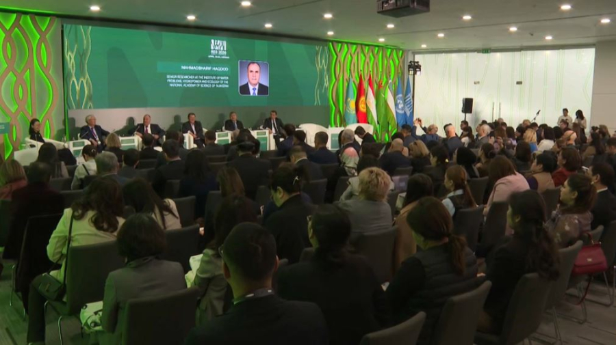 Деградация земель и выбросы метана: о чем говорят на экосаммите в Астане