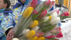 Тысячу тюльпанов подарили женщинам столичные волонтеры