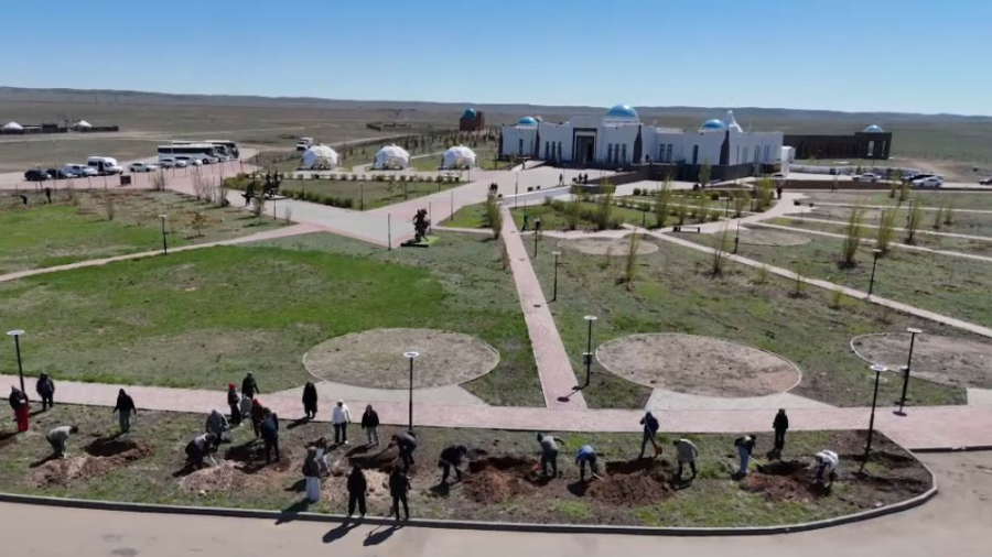 Тарихи кешеннің айналасына 500 көшет егілді