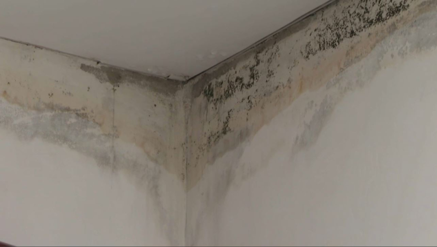 «Бір қабатты Шығыс» бағдарламасымен салынған үйлер тұруға жарамсыз болып тұр – ШҚО