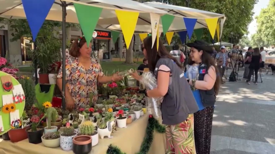 Последнее десятилетие стало самым жарким в истории Земли – ООН